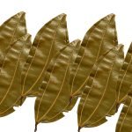 BAY LEAF || 100 GR ||  పలావ్ ఆకులు
