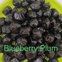 BLUE  BERRY PLUM || బ్లూ  బెర్రీ ప్లం || 250 GR