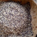 BLACK PEA DAL ||  నల్ల బొబ్బర్ల పప్పు || 500 GR