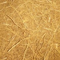 PERENNIAL GRASS || VATTI VELLU || వట్టి వేళ్ళు || 250 GR