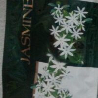 ASHIKA JASMIN INCENSE STICKS