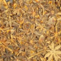 PINEAPPLE FLOWER || 50 GR ||  అనాస మొగ్గ