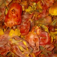 MACE || 100 GR ||  జాపత్రి