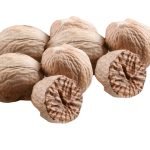 NUT MEG || 100 GR ||