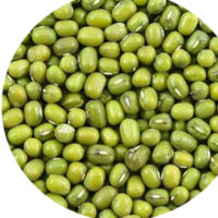 GREEN GRAM || పెసలు ||