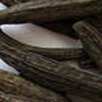 WAILONG || 100 GR || మరాఠీ మొగ్గ