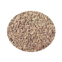 CUMIN SEEDS || ZEERA ||  జీలకర్ర || 100 GR
