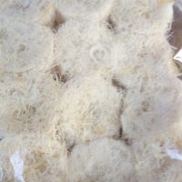 SOAN PAPIDI ( Pack of 4 pcs )|| సోంపాపిడి