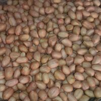 GROUNDNUT ||  వేరుశనగ గుళ్ళు || 500 GR ||