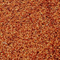 MAHUA FLOWER ||  విప్ప పువ్వు || 100 GR