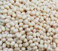 LOOSE URAD  DAL ROUND  || MINAPAGULLU || చాయ మినప గుళ్ళు || LOOSE URAD GOTA ROUND || 1 KG