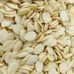 WATERMELON SEEDS|| పుచ్చకాయ  గింజలు || 250 GR