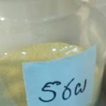 FOX MILLET   కొర్రలు / కోర్రబియ్యం