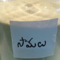 LITTLE MILLET సామలు