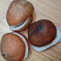 DRY COCONUT|| ENDU KOBBARI || కొబ్బరి కురిడి ||KOBBARI KURIDI|| 250GR