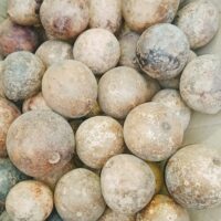 DRIED BAEL FRUIT || DRIED GOLDEN APPLE || ఎండబెట్టిన మారేడుపండు  || MAREDU PANDU|| EACH PC 1 కాయ