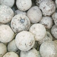 DRIED WOOD APPLE || DRIED ELEPHANT APPLE || ఎండబెట్టిన వెలగపండు ||  VELAGA PANDU|| EACH PC 1 కాయ||  POOJA PURPOSE ||