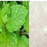 PUDINA PUVVU || MENTHOL || పుదినా పువ్వు  || 25 GR