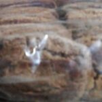 SUGARLESS BISCUITS || LOW SUGAR BISCUITS || Pack of 20 Pcs || తక్కువ షుగర్ ఉన్న బిస్కట్స్ ||