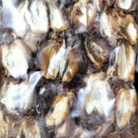 SEEDLESS DATES || గింజ తీసిన ఖర్జూరం || 500 GR