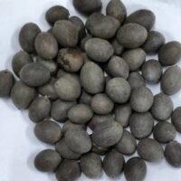 LOTUS SEEDS || తామర విత్తనాలు || 12 PCS