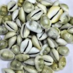 LAKSHMI GAVVALU || లక్ష్మి గవ్వలు || 6 PCS