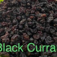 BLACK CURRANT || ఎండిన  నల్ల ద్రాక్ష  || BLACK GRAPES DRIED || 250 GR