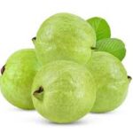 GUAVA FRUITS || 6 PIECES MEDIUM ||