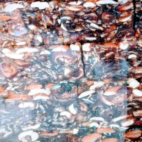 DRY FRUITS SWEET || డ్రై ఫ్రూట్స్ స్వీట్ || 250 GR